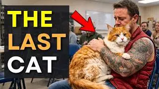 We Let Cats Pick Their Families on Adoption Day And THIS Happened ❤️