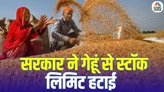 Govt Removes Wheat Stock Cap: Wheat Price News | अच्छी बुवाई का असर, सरकार का बड़ा फैसला