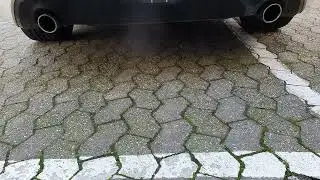 BMW Z4 sDrive20i - EXHAUST SOUND - REVS - START UP