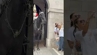 Respectful ladies but you&rsquo;re not allowed to feed the Horse  #respect #london #kingsguard #tradition