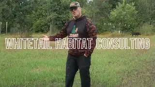 Bin Run Winter Rye Food Plot   www.whitetailhabitatconsulting.com