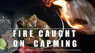 Campaign in the forest, fire caught inside tent..  Relaxing.. The Himalayas Vlog / ASMR of nature