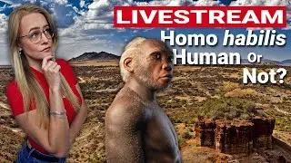 Let's Talk; Most Complete Homo Habilis Skeleton Found, Human Or Not?