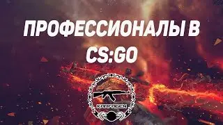 Профессионалы в CS:GO (fragmovie) 1080p/60FPS