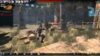 Vindictus Dungeon Run