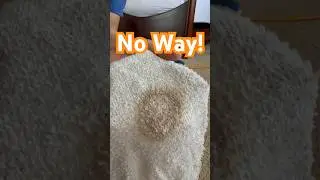 Stop Pouring Baking Soda In Your Carpet