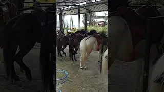 SUASANA LAWU PARK #23112024