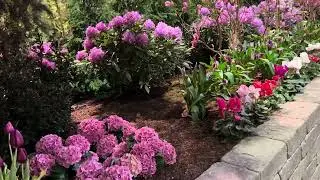 Visiting Home and garden show 2026