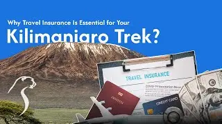 Why Travel Insurance Is Essential For Your Kilimanjaro Trek? | African Scenic Safaris