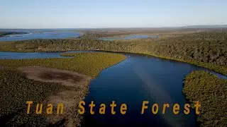 Log Dump Camp - Tuan State Forest
