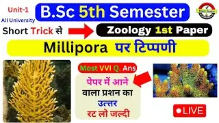 Millipora, millepora,milliepora,pink milliepora,acropora milliepora,acropora millepora,milli