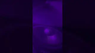 Ziplok Studio