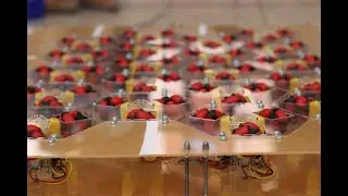 Omnidirectional Conveyor Table