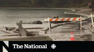 B.C.'s south coast under flood watch amid heavy rain, high tides