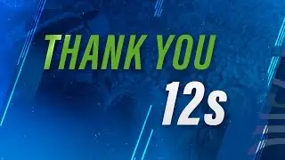 Thank You 12s