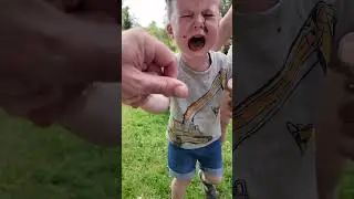 Знакомство с альпакой - растёт будущий охотник🤣