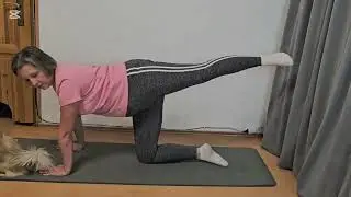 Hip Mobility and Pelvic Floor Strengthening Exercises