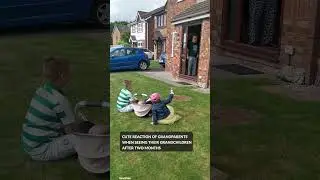 Cute reaction of grandparents when seeing their grandchildren after two months
