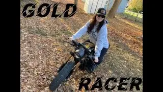 GOLD RACER!! Goldwing GL1000 cafe racer walk around