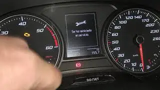 borrar inspección y servicio León mk3