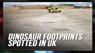 Dinosaur footprints stretching more than 200 meters found in British quarry | ABS-CBN News