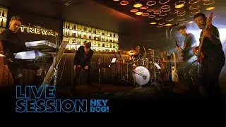 HEYDOG! Live Session