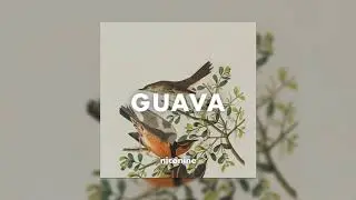Moombahton x Afro Bros Type Beat - Guava
