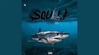 Squali