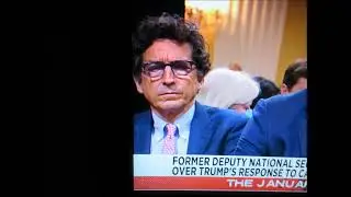 Rosie at Jan 6 hearings