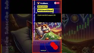 Peanut the Squirrel PNUT Slumps Can it Nut Up or Crack Under Pressure