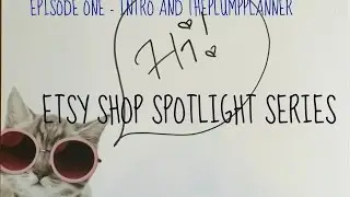 Etsy Spotlight  - Intro to Series and Stickers from The Plump Planner