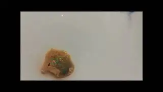 Australian Opal (3.7ct amazing semi black opal)
