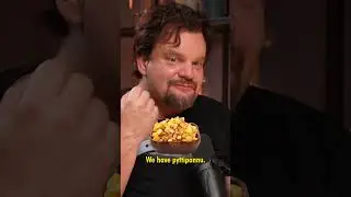 ISMO |  Indian Food Vs Finnish food