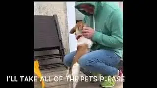 Bo's Foster Makes a movie for him.
