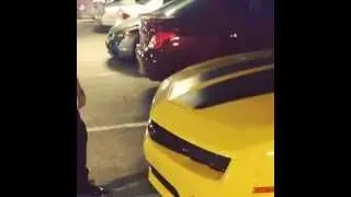 Bumble bee wake the fuck up!!!!!!!
