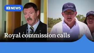 Former Labor minister joins calls for royal commission into Bondi terrorist attack | ABC NEWS