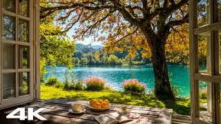 A Window into Spring | Serene Lakeside & Relaxing Piano Music &ndash; 4K Ambience