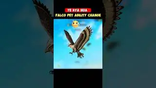 Falco Pet Ability Change 😲 || Free Fire New Update 😍 || #ffshorts #freefireindia #shorts