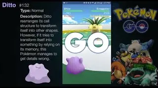 Ditto Gym Battle Gameplay in Pok&eacute;mon GO