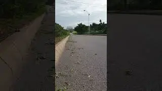 2022 Honda CB300R In Action - Exhaust Sound Fly-By #youtubeshorts #shorts #ytshorts