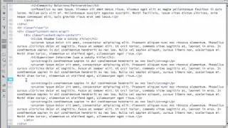 Crater BIS Portfolio Y2: 7-3 Insert & Style BIS Internship Experience: Job Shadow