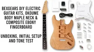 Amazon Guitar Kit BEXGEARS Stratocaster, Unboxing, setup and tone samples