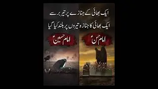 28 safar shahadat imam Hassan as status