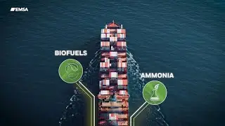 Alternative fuels in shipping (biofuels and ammonia): EMSA reports