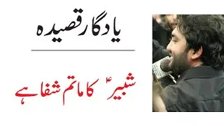Qasida - Shabbir ka Matam Shifa Hai | Zakir Muntazir Medhi