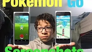 Looking at the Pok&eacute;mon Go Screenshots