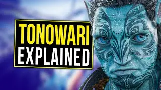 Everything You NEED To Know About Tonowari