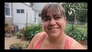 Imperfect Garden Tour July 2022