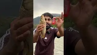 Fish attractant liquid tested 🐟 #shorts #viral #trending #fishing