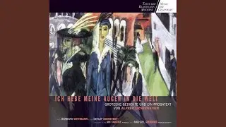 Die Fahrt Nach Der Irrenanstalt 2 (Audiobook-Version)